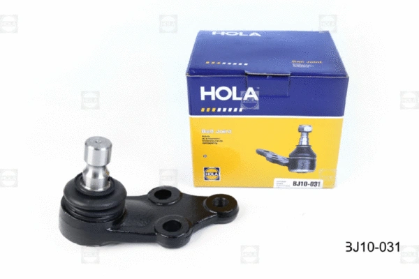 Ball Joint (BJ10-031)