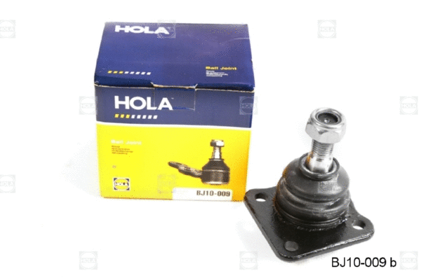 Ball Joint (BJ10-009)