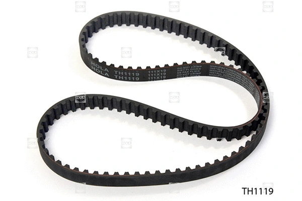 Timing Belt (TH1119)