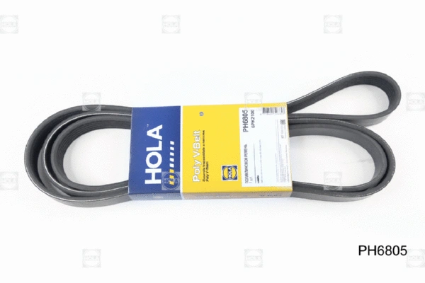 V-Ribbed Belt (PH6805)
