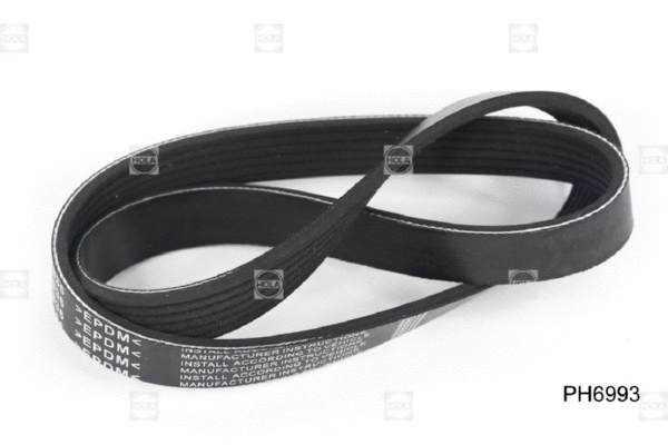 V-Ribbed Belt