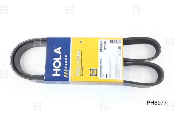 V-Ribbed Belt (PH6977)