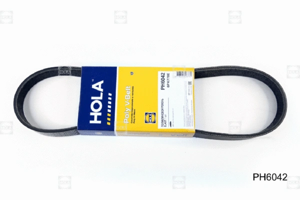V-Ribbed Belt (PH6042)