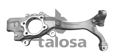 Steering Knuckle, wheel suspension (79-01303L)
