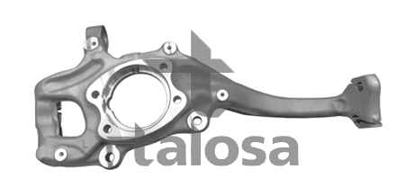 Steering Knuckle, wheel suspension (79-01304L)