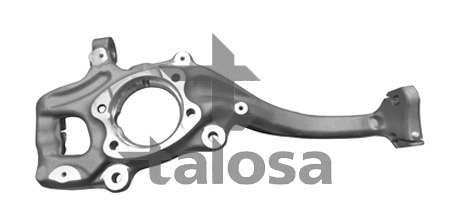 Steering Knuckle, wheel suspension (79-01306L)