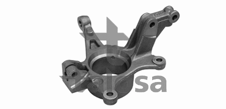 Steering Knuckle, wheel suspension (79-04702L)