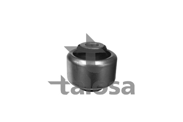 Mounting, control/trailing arm (57-09897)