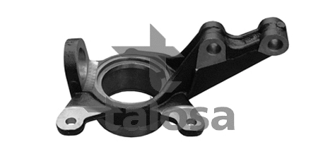 Steering Knuckle, wheel suspension (79-02004R)