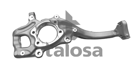 Steering Knuckle, wheel suspension (79-01307L)