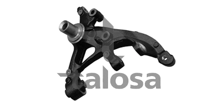 Steering Knuckle, wheel suspension (79-04423R)