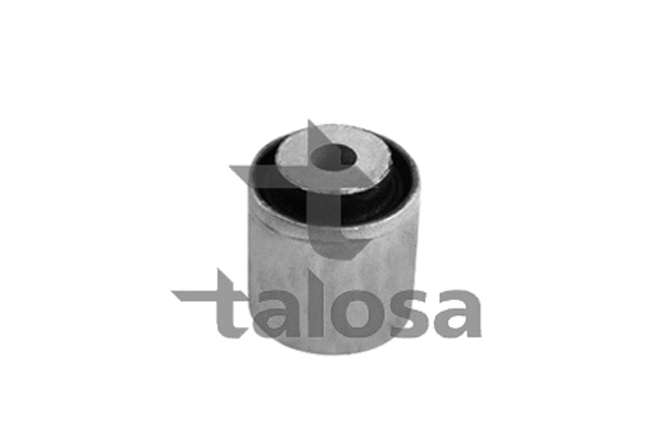 Mounting, control/trailing arm (57-13758)