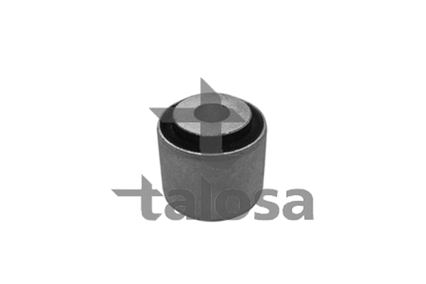 Mounting, control/trailing arm (57-06569)