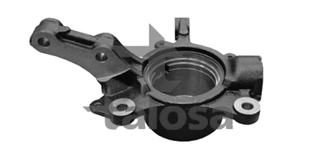 Steering Knuckle, wheel suspension (79-03506R)