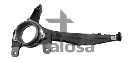 Steering Knuckle, wheel suspension (79-02003R)