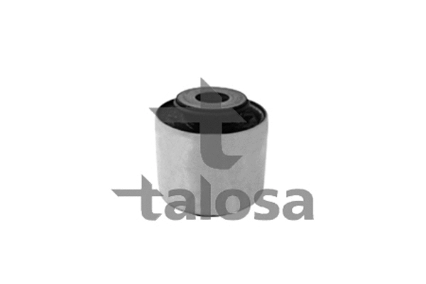 Mounting, control/trailing arm (57-10229)