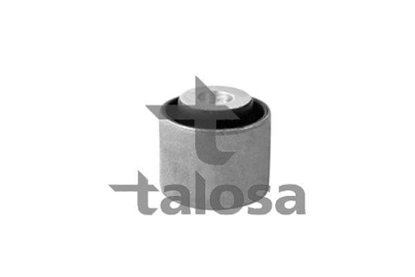 Mounting, control/trailing arm (57-10765)