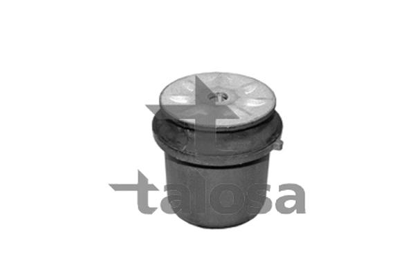Mounting, control/trailing arm (57-11905)