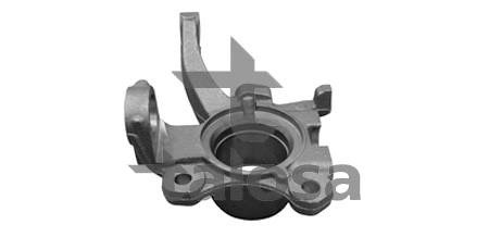 Steering Knuckle, wheel suspension (79-04418R)
