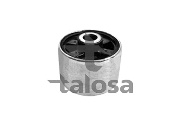 Mounting, control/trailing arm (57-07558)