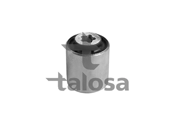 Mounting, control/trailing arm (57-13898)