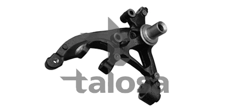 Steering Knuckle, wheel suspension (79-04423L)