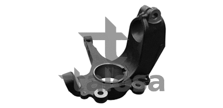 Steering Knuckle, wheel suspension (79-01904L)