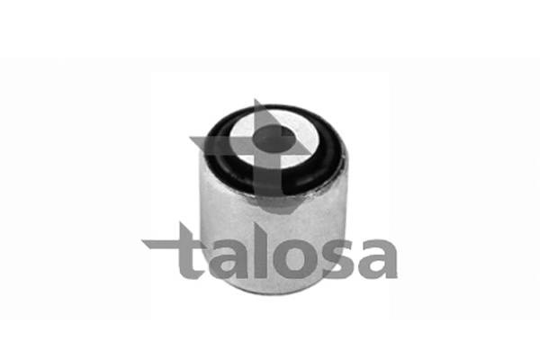 Mounting, control/trailing arm (57-11619)