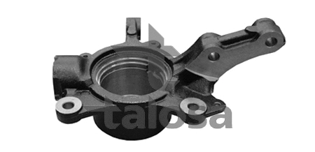 Steering Knuckle, wheel suspension (79-03506L)