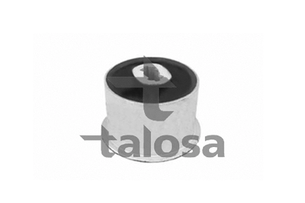 Mounting, control/trailing arm (57-13254)