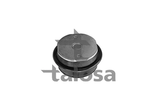 Bushing, axle bracket (62-04832)