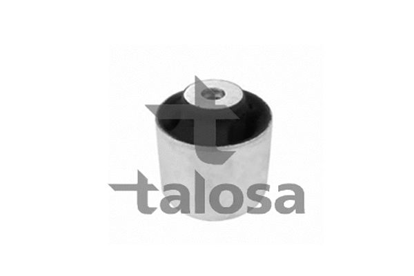 Mounting, control/trailing arm (57-13258)