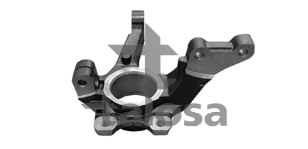 Steering Knuckle, wheel suspension (79-03204L)