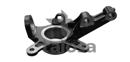 Steering Knuckle, wheel suspension (79-02005R)