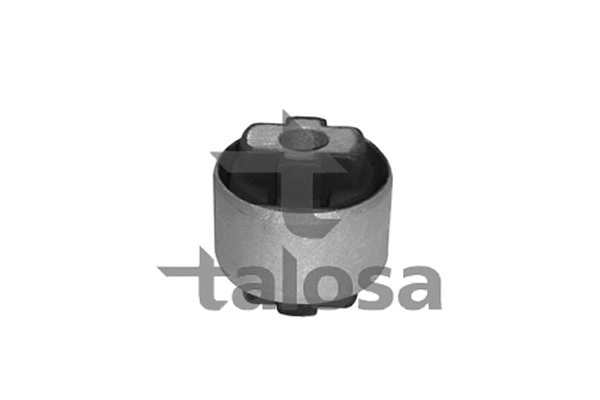Mounting, control/trailing arm (57-01160)