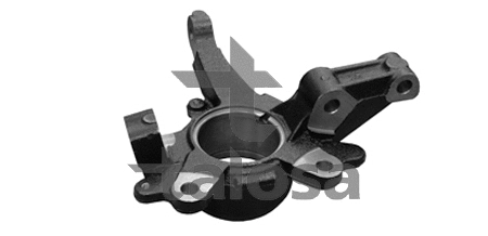 Steering Knuckle, wheel suspension (79-01808L)