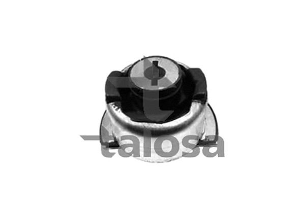 Bushing, axle bracket (62-06113)
