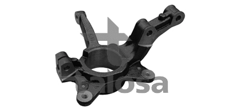 Steering Knuckle, wheel suspension (79-03504L)