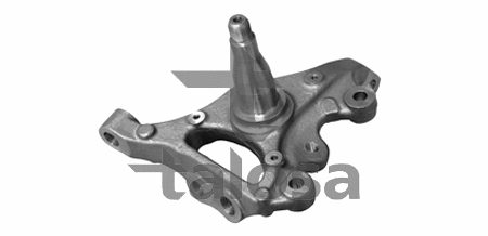 Steering Knuckle, wheel suspension (79-02800L)