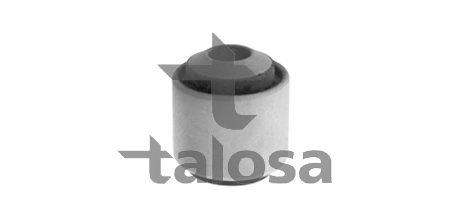 Mounting, control/trailing arm (57-16866)