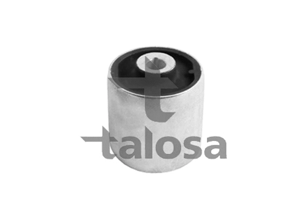 Mounting, control/trailing arm (57-13826)
