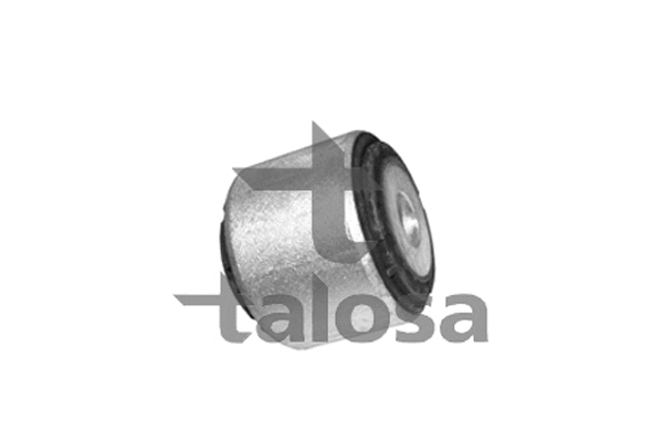 Mounting, control/trailing arm (57-00919)