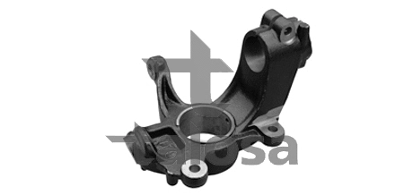 Steering Knuckle, wheel suspension (79-01906L)