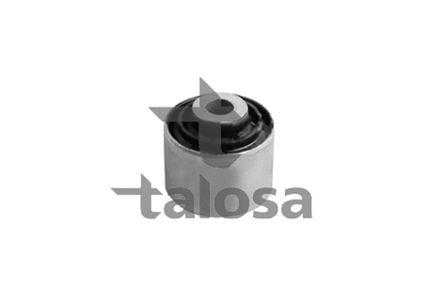 Mounting, control/trailing arm (57-13759)