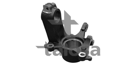 Steering Knuckle, wheel suspension (79-01804R)