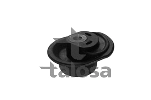 Bushing, axle bracket (62-01520)