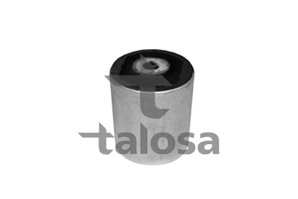 Mounting, control/trailing arm (57-11529)
