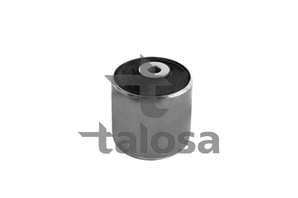 Mounting, control/trailing arm (57-13667)