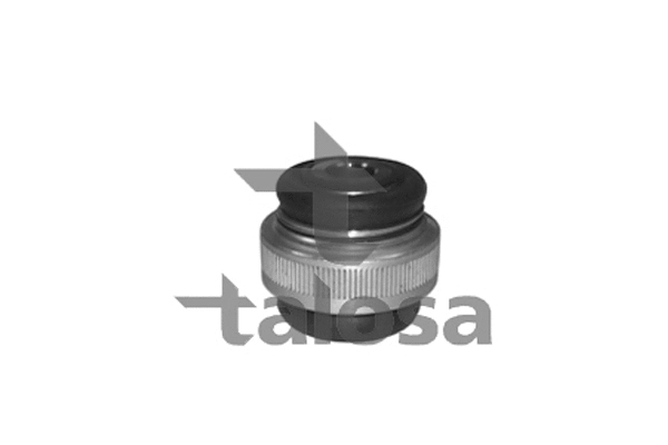 Mounting, control/trailing arm (57-09893)