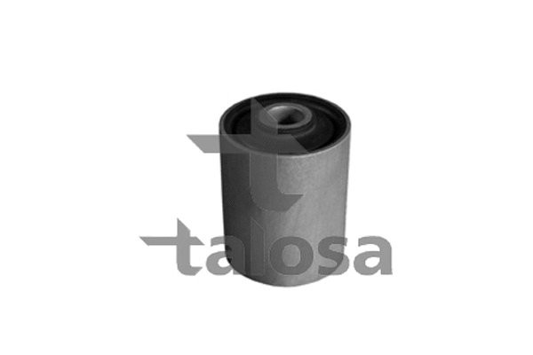 Mounting, leaf spring (64-06256)